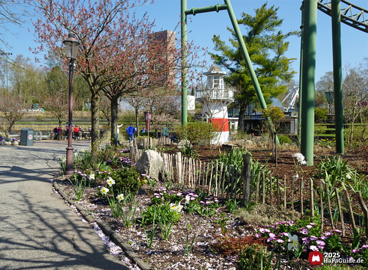 Frühjahrsblüte - Leuchtturm im Hansa-Garten