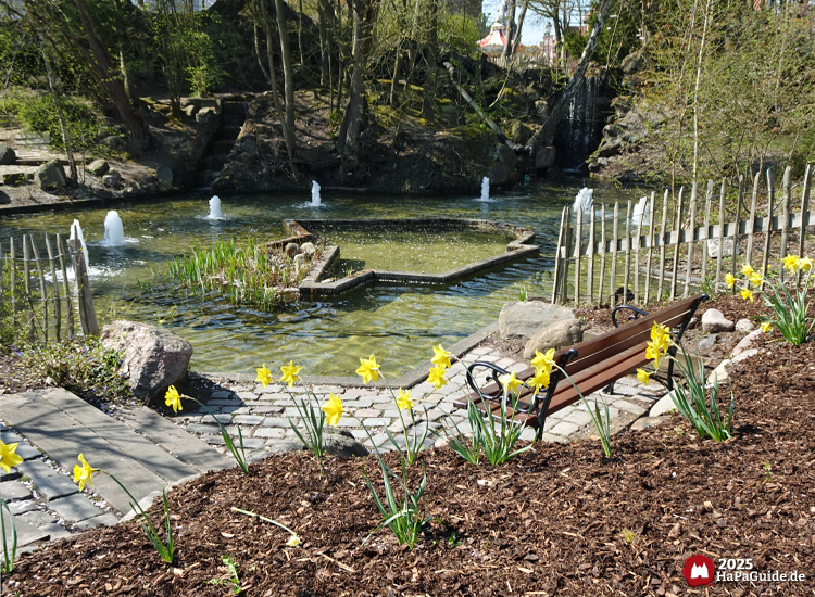 Frühjahrsblüte - Osterglocken an einem Teich im Hansa-Garten