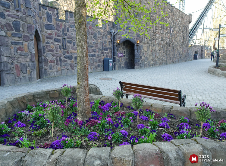 Frühjahrsblüte - Purpurfarbene Blumen in einem Beet mit Bank vor Nessies Bahnhof