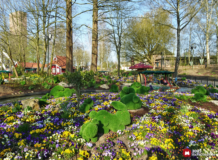 Frühjahrsblüte - Rasen-Hasen zwischen Stiefmütterchen bei der Blumenmeerbootsfahrt