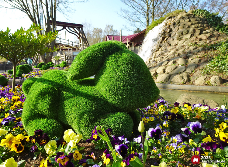 Frühjahrsblüte - Rasen-Hase