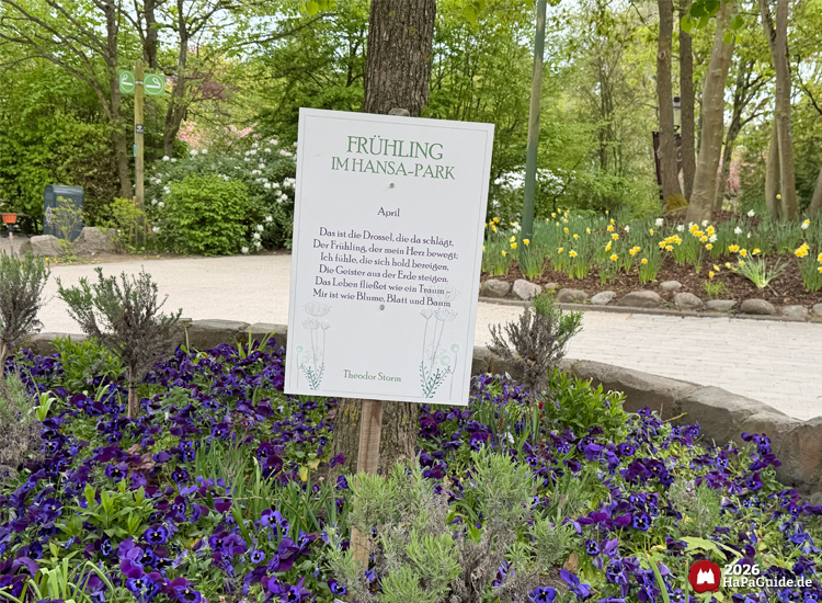 Frühlingsszene im Hansa-Park mit Schild des Gedichts von Theodor Storm, umgeben von violetten Blumen, grünen Pflanzen und blühenden Bäumen