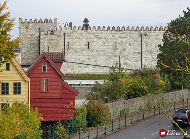 Großprojekt 202X - Blick von der Fußgängerbrücke auf den enthüllten Palast