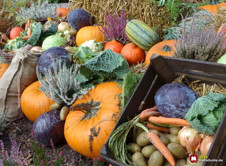 Hansa-Garten - Erntedankbeet