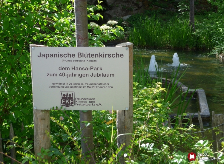 Hansa-Garten - Schild Japanische Blütenkirsche