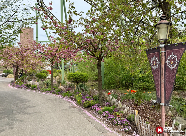 Blühende Kirschbäume mit rosa Blüten entlang eines geschwungenen Weges im Hansa-Park, gesäumt von bunten Blumenbeeten und dekorativen Laternen mit Kompassmotiven