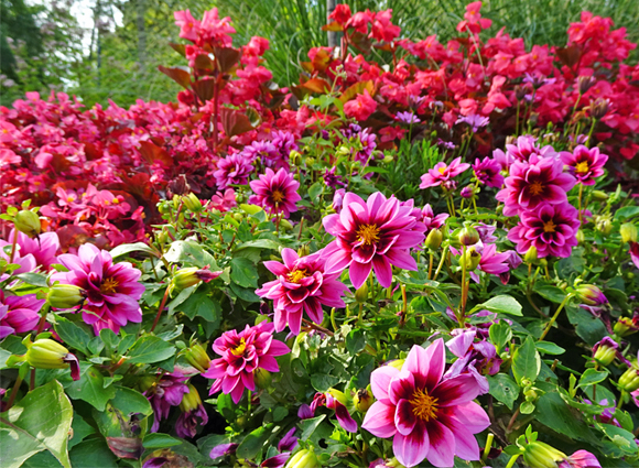 Bilder-Galerie öffnen