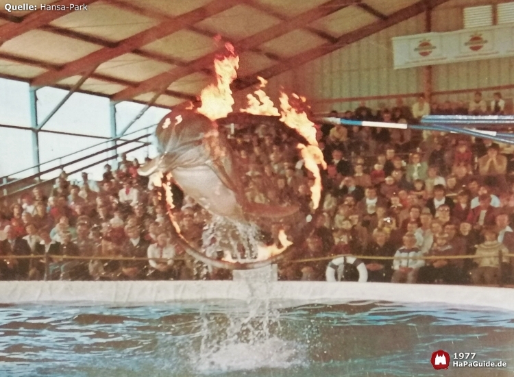 Eröffnung Hansaland - Florida Delfin Show Hansaland Halle