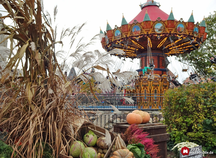 Hanse-Flieger - Der Hanse-Flieger hinter herbstlichen Feldfrüchten