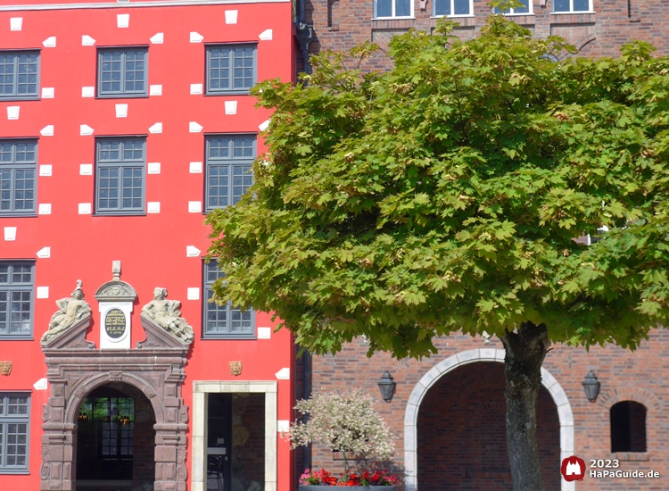 Hanse in Europa - Baum vor Fassaden Stockholms