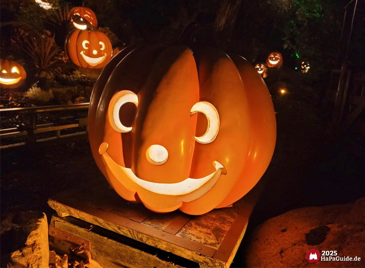 Herbstzauber am Meer - Grinsender Leuchtkürbis