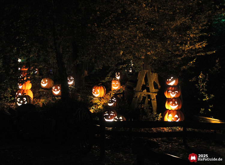 Herbstzauber am Meer - Leuchtkürbisse zwischen Bäumen