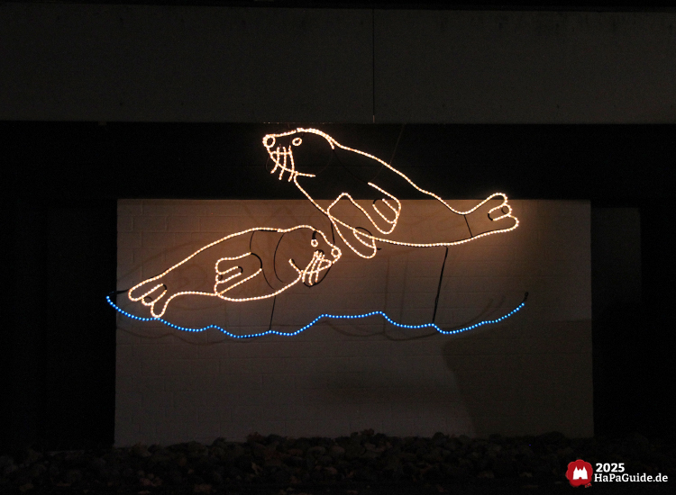 Herbstzauber am Meer - Zwei Seerobben aus Lichtschläuchen