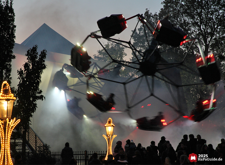 Herbstzauber am Meer - Der Wellenreiter kreist im Nebel