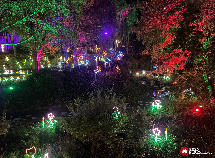 Herbstzauber am Meer - Elektronische Blumen und Schmetterlinge in den Beeten der Blumenmeerbootsfahrt