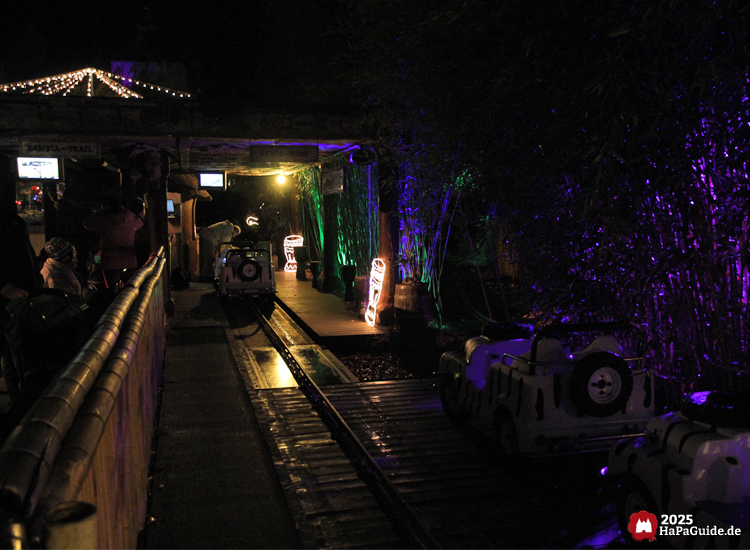 Herbstzauber am Meer - Blau beleuchteter Bambus seitlich der Safari-Jeep-Strecke