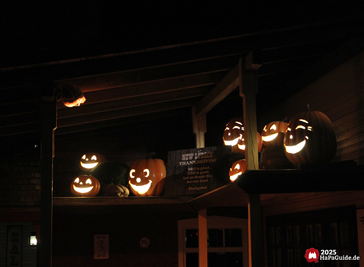 Herbstzauber am Meer - Leuchtkürbisse mit einem Thanksgiving Schild