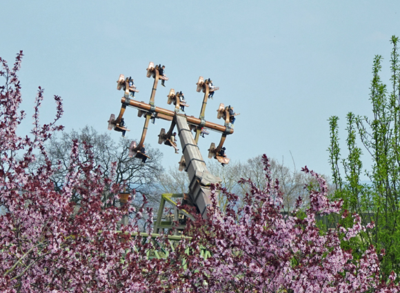 Bilder-Galerie öffnen
