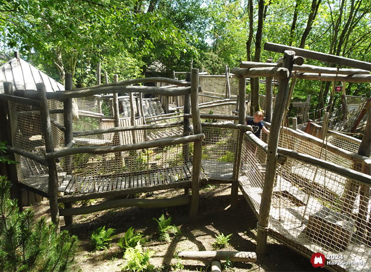 Lost Trails of Roanoke - Holzstege mit Wegen