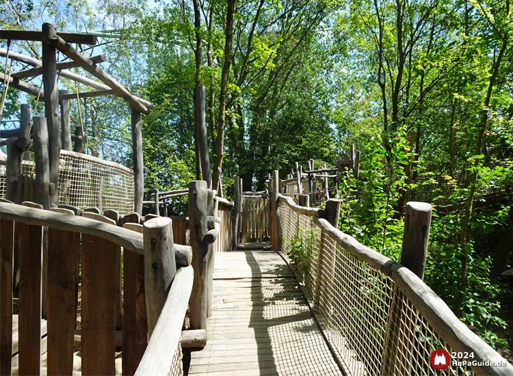 Lost Trails of Roanoke - Gerader Holzsteg