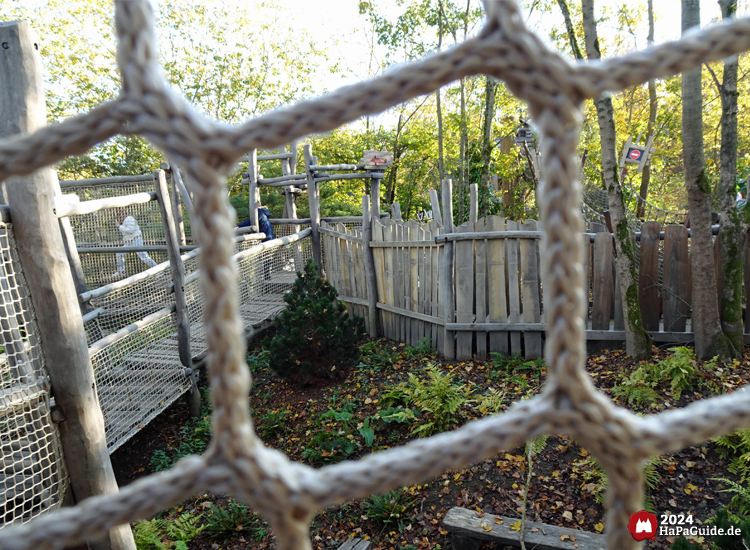 Lost Trails of Roanoke - Blick durch Netz auf den Abenteuerpfad