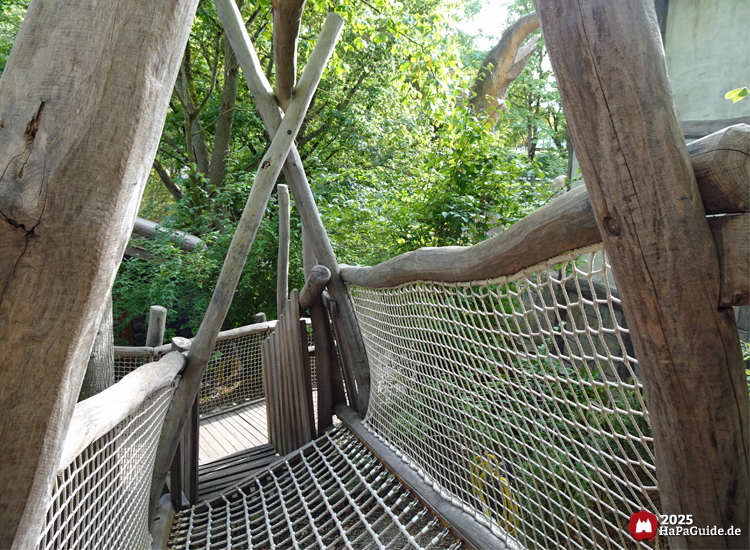 Lost Trails of Roanoke - Kletternetze unter Holzpfosten