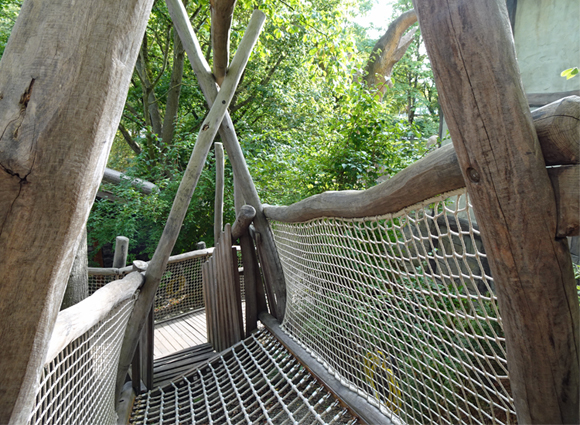 Bilder-Galerie öffnen