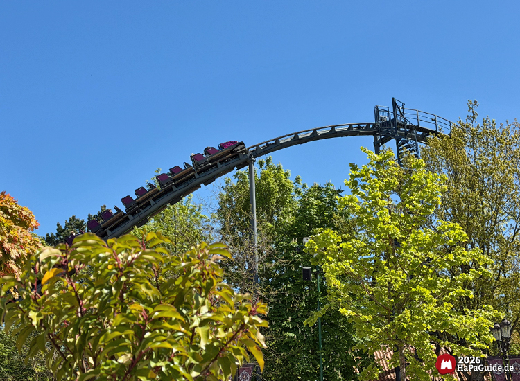 Lila Achterbahnzug Nessies im Hansa-Park fährt über eine hohe Kurve zwischen grünen Bäumen unter klarem blauem Himmel