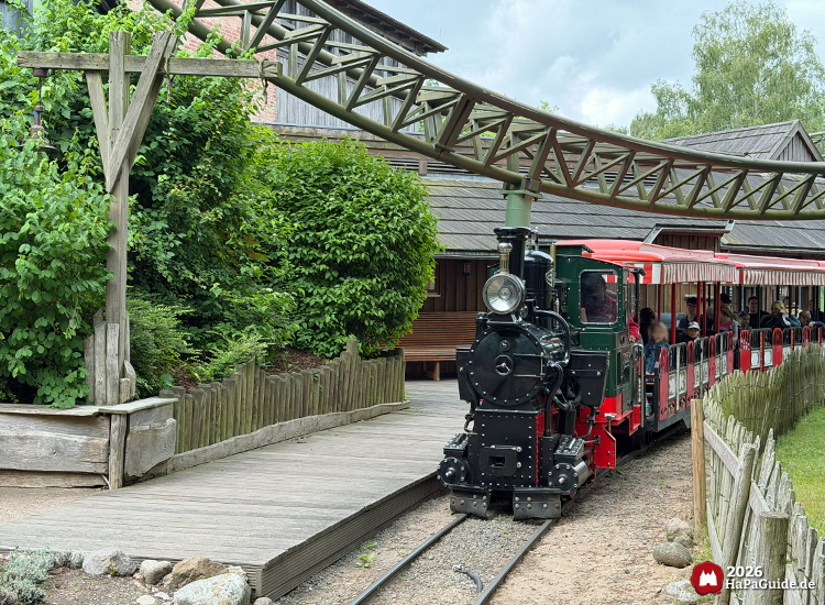 Dunkelgrüne Dampflokomotive des Hansa-Park Express fährt entlang des Bahnsteigs Peterhof von Novgorod mit roten Wagen, umgeben von grünen Büschen und hölzernen Gebäuden