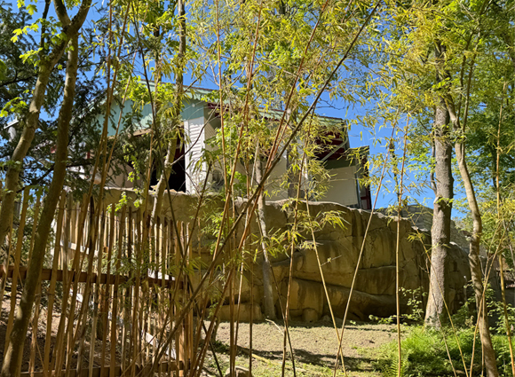 Bilder-Galerie öffnen