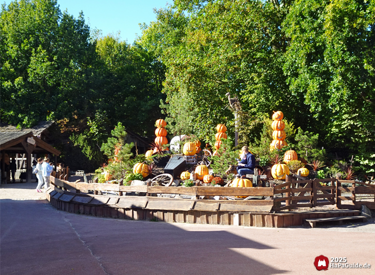 New Lübeck - Kürbisse in der finalen Kurve der Pony Post
