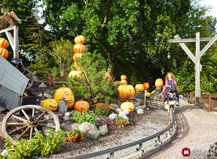 Pony Post - Ein Pferd reitet etlang zahlreicher Kürbisse