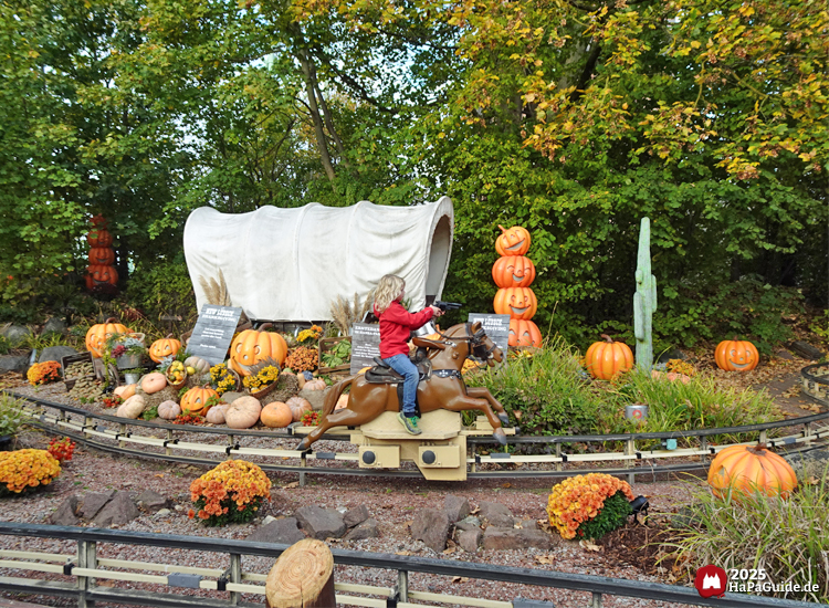 Pony Post - Ein Pferd reitet an Erntedankbeet mit Planwagen vorüber