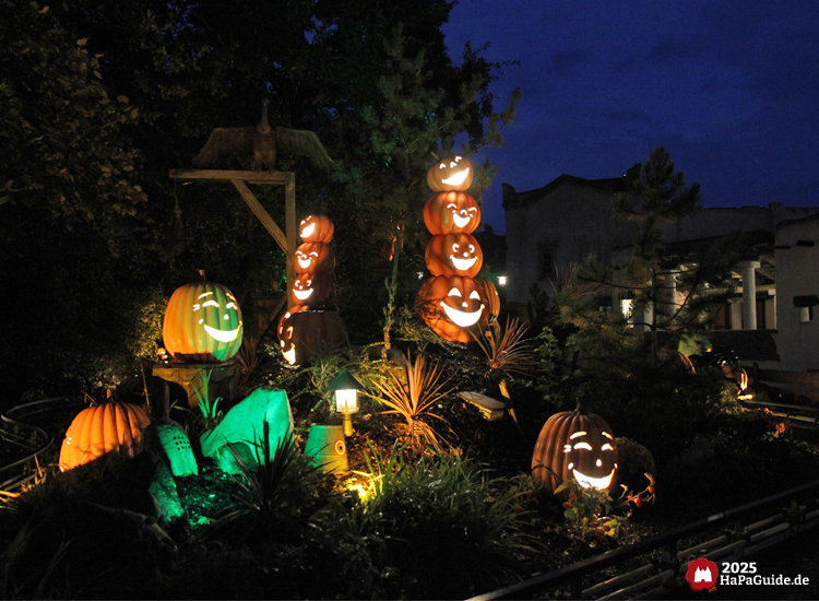 Pony Post - Beleuchtete Kürbisse inmitten der Reitbahn