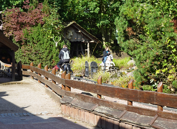 Bilder-Galerie öffnen