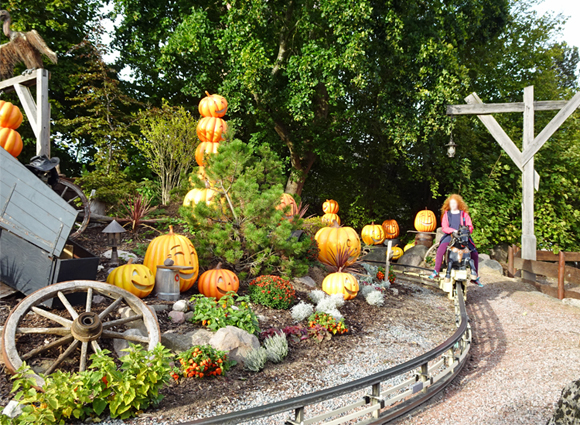 Bilder-Galerie öffnen