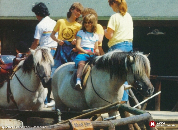Ponyreiten - Kind auf Pferd