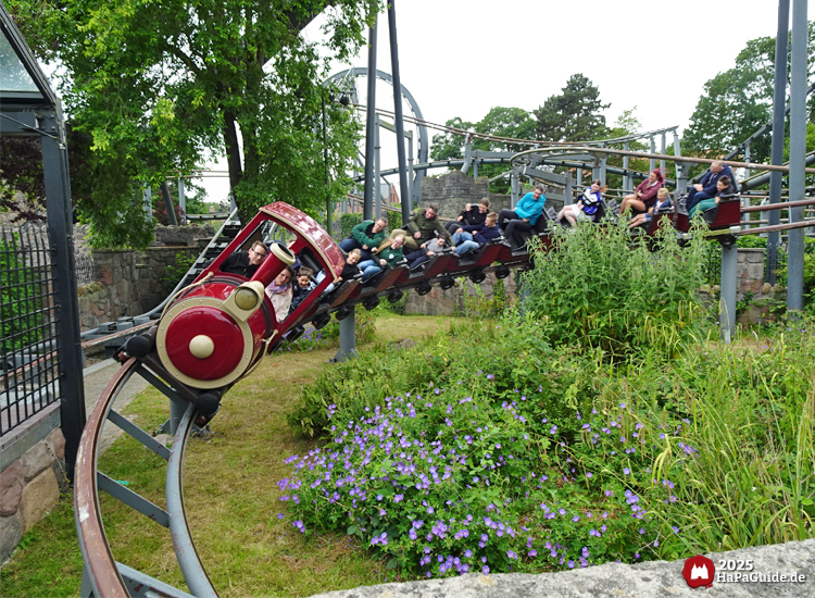 Royal Scotsman - Bodennahe Kurve um purpurne Bepflanzung