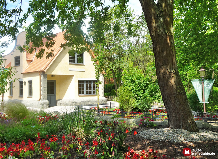 Sommerblüte - Blumen im Hansa-Garten