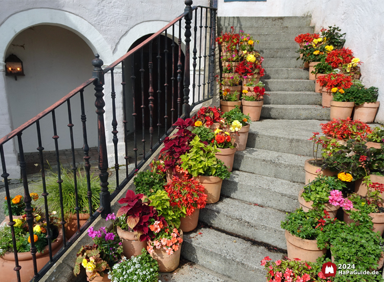 Sommerblüte - Blumentöpfe auf einer Treppe im Bereich Fiesta del Mar