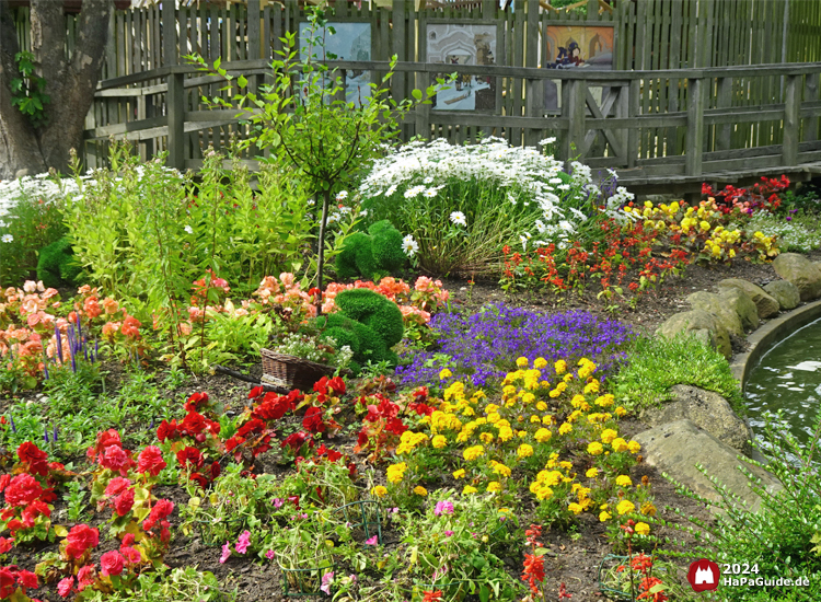Sommerblüte - Blumenbeet entlang der Blumenmeerbootsfahrt