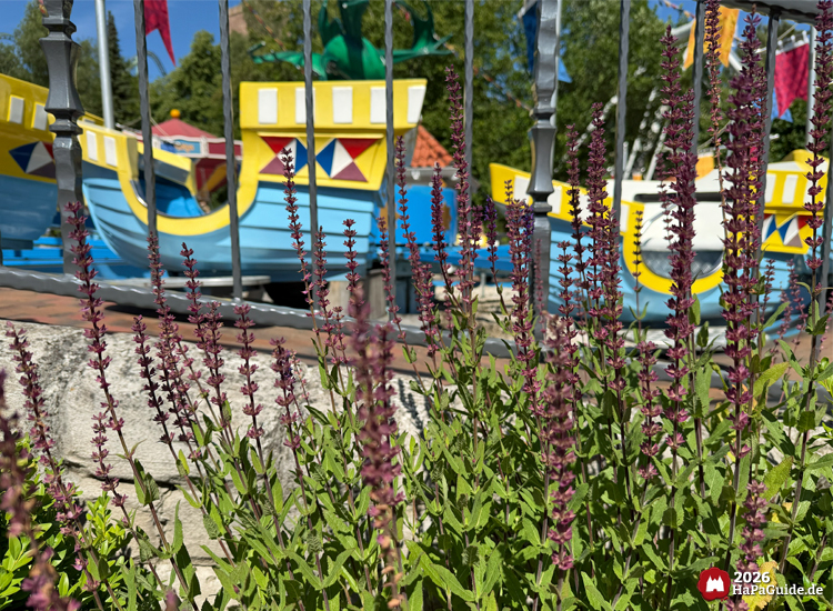 Lila Blüten im Vordergrund vor der Koggenfahrt im Hansa-Park, blau-gelbe Boote mit bunten Mustern und Fahnen, sonniger Himmel und fröhliche Atmosphäre