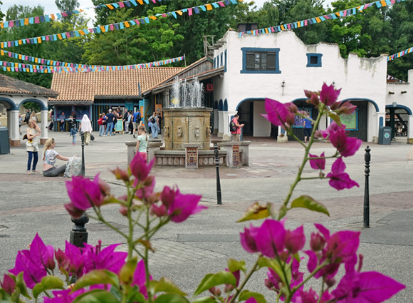 Bilder-Galerie öffnen