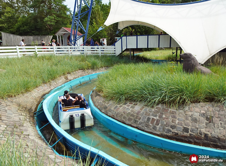 Super Splash - Kurve vorbei an Seelöwen im Gras