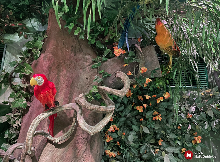Tahiti Trail - Papageien in einem Baum