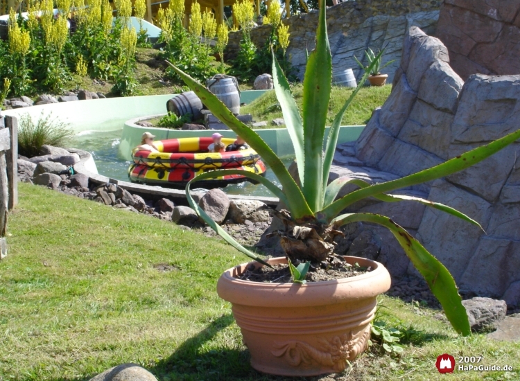 Wasser-Bobbahn Rio-Dorado - Kaktus