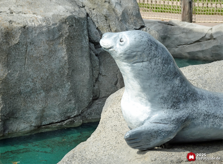 Wikingerland - Robbe auf Fels