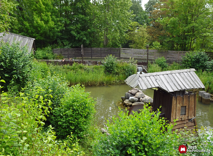 Wildwasserfahrt - Der Wasserwolf am Ilmensee - Erste Abfahrt hinter Sägeblatt mit Stausee